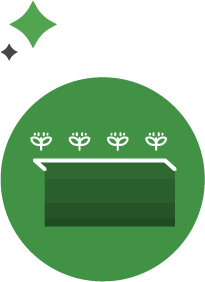calicata